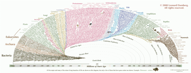 Evolução e Diversidade Genéticas da Vida na Terra ao longo das Eras
