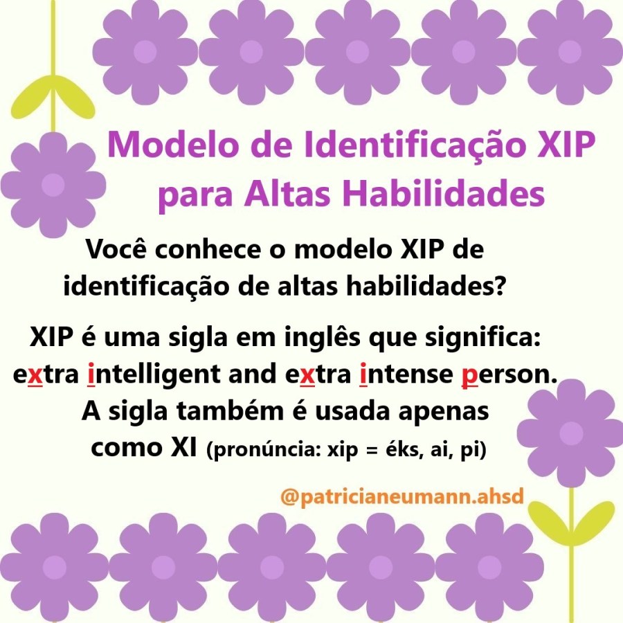 Modelo de Identificação XIP